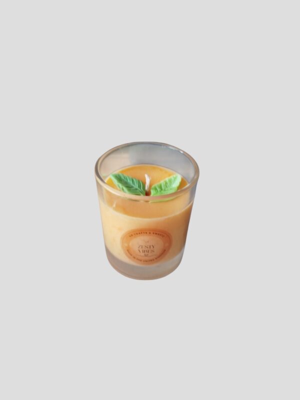 Zesty Vibes Candle