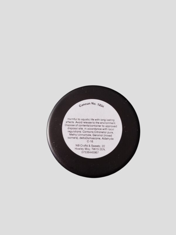 Cancun No.1204 Dolphin-Shaped Wax Melts Tin - Image 3